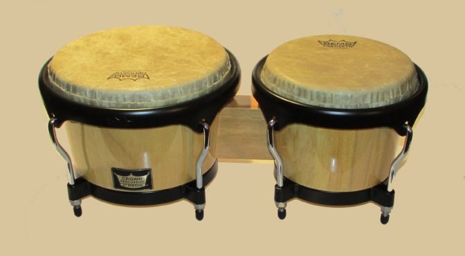 bongo drums remo